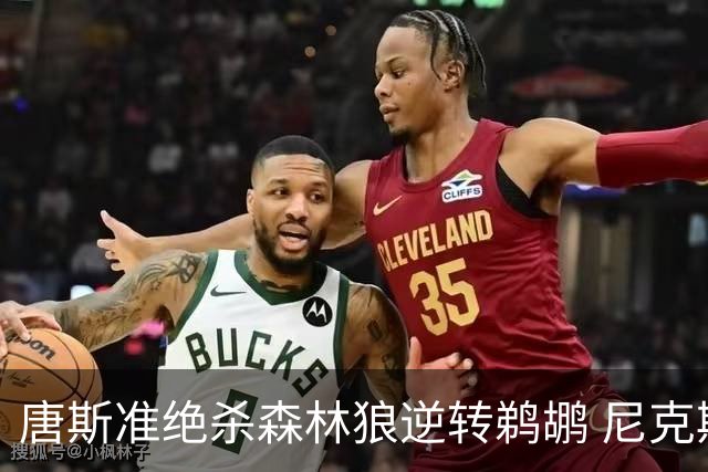 唐斯准绝杀森林狼逆转鹈鹕 尼克斯送黄蜂4连败