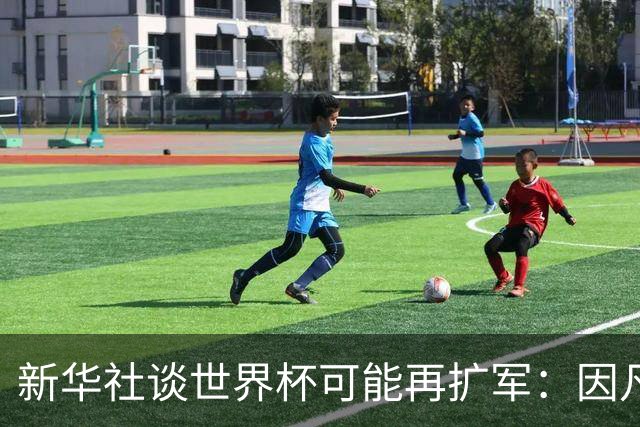 新华社谈世界杯可能再扩军：因凡蒂诺谋求连任，有助巩固他的票仓