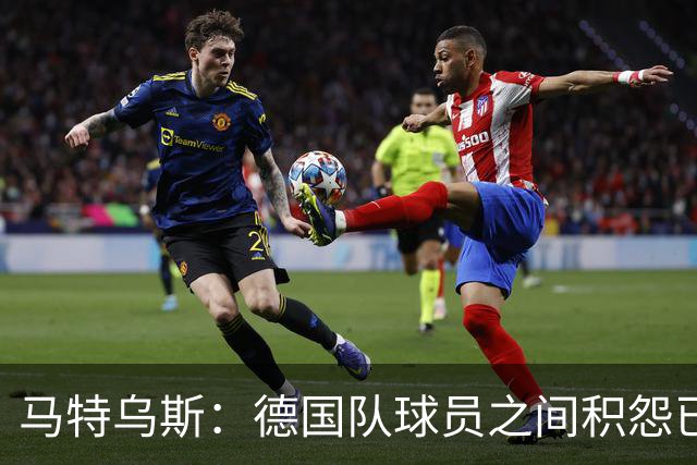 马特乌斯：德国队球员之间积怨已久 一些人的家人可以享受特权